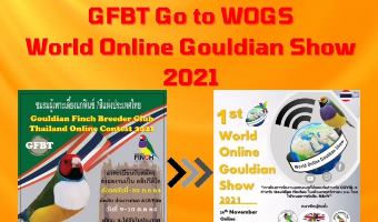 งานประกวด Online &​ร่วมประกวดงาน WOGS ของชมรม ในปี 2564