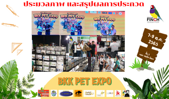 ประมวลภาพ และสรุปผลการประกวด BKK PET EXPO 2022 The Street Ratchada